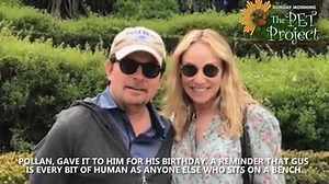 11K views · 221 reactions | #SundayMorning on Friday Night Gus, a "Great Dane-ish" mutt figures prominently in @realmikefox's life, as well as his new book, "No Time Like the Future." Fox talks with correspondent Lee Cowan about the special bond between human and dog. #sundaypets https://cbsn.ws/3fDahyA | CBS Sunday Morning | Facebook