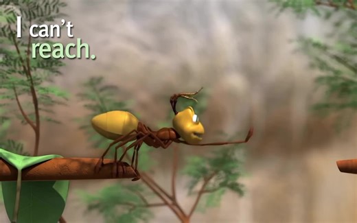 动物王国大冒险1080p jungle beat 超清 48全集