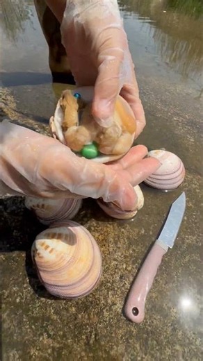 Sea Agate and Sea Crystal: Finding Hidden Treasures on the Shore and rare pearl