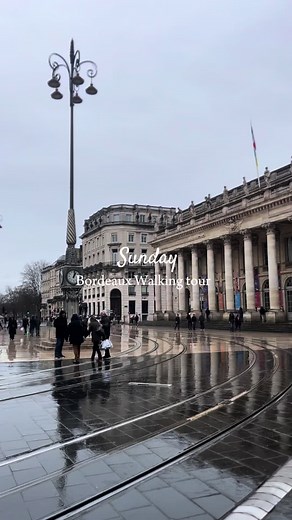 Explore Bordeaux: A Guided Walking Tour Experience
