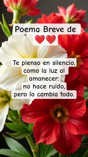 Poema breve de amor #amor #poemasescritos #teamo #poemas #frases #love #poema #facebook