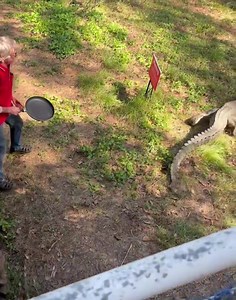 QUESTION: How would you be if a croc ate your dog? Better still, if it tried to go you? 😵‍💫 We don't condone panning crocs, only if it's in self defence like King Kai did this year. If you wanna meet the man with the pan, check out a helicopter pub crawl with the best in the biz at @airborne.solutions 👈🚁 | CU in the NT