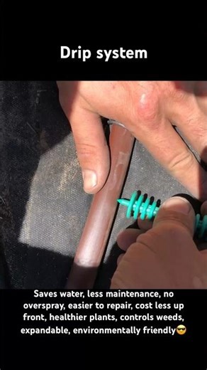 The gift that keeps on giving 😎