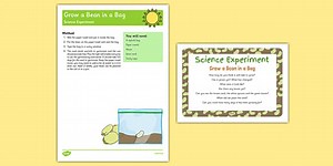 Bean Sprouting Science Experiment and Prompt Card Pack