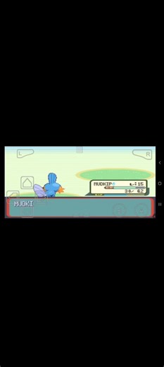 Pokemon ruby (GBA)