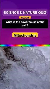 Amazing Fact #Shorts