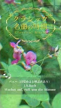 1分クラシック♪バッハ 目覚めよ、と呼ぶ声あり #クラシック #名曲 #朝