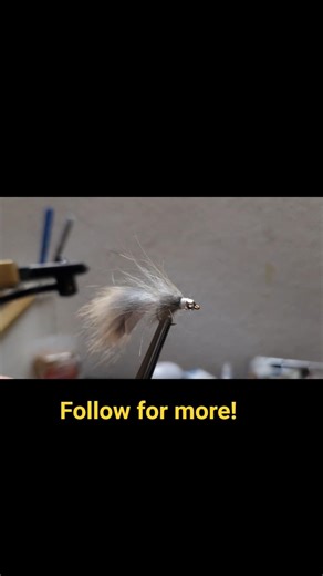 Forellen brennen auf diesen Köder😎 #angeln #fliegenfischen #fishing #fish #forellenangeln #diy