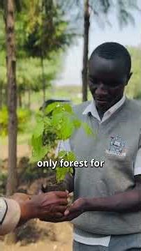 From Forests to 40+ Countries? The Vision Behind RVR 🌍
