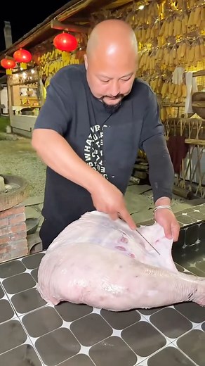 461K views · 2.5K reactions | Welcome to winter Hun douhua represents a unique and endearing form of tenderness | About Cooking Tv | Facebook