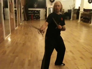 Rapier and Dagger Postures