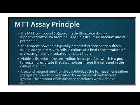 MTT Assay Video No 1081
