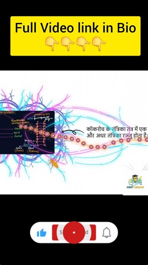 🪳 Cockroach One Shot . #NEET2026 #NEETBiology #Cockroach #Zoology #NCERT #OneShot #NEETPreparation