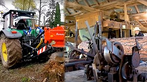 Extreme Power of the Fastest Chainsaw Machines Cutting Trees