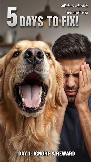 How to Stop Your Dog From Barking in 5 Days! #dogtraining #dogbehavior #petcare #dogbark