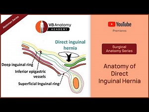 Anatomy of Direct Inguinal Hernia | Abdomen Surgical Anatomy Series