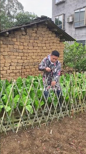 DIY Bamboo Garden Fence: Easy Step-by-Step Guide