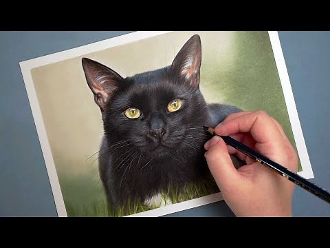 How To Draw Black Fur - Polychromos Colour Pencil Tutorial