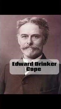 Creature of the Day: Dimetrodon #dimetrodon #prehistoric