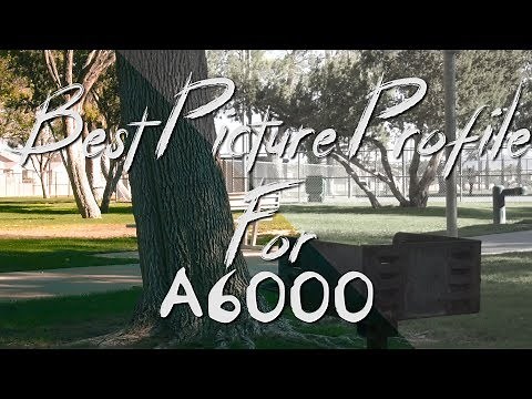 Best Picture Profile Settings For The a6000