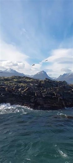 Canal de Beagle | The beagle channel #travel #patagonia #ushuaia