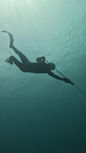 228K views · 3.6K reactions | Spearfishing with World's Best Sling | Ryan Myers | Facebook