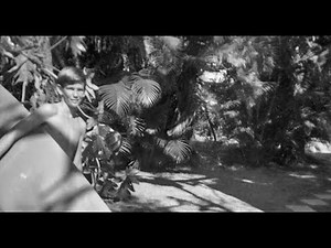 HOTDOGGER presents : Surfing With William Finnegan