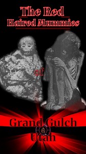 45K views · 1.4K reactions |  Red-Haired Mummies Hidden Beneath...