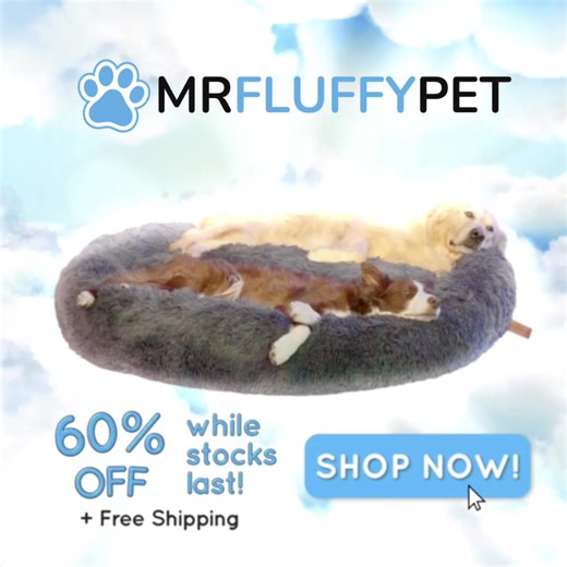 Your Dog Will Absolutely Love This! 🥰 This bed relieves your dog's stress and anxiety and promotes a peaceful sleep. 💤 No wonder over 600,000 dog owners around the world swear by it — their dogs sleep better, feel calmer, and wake up happier. 👉 Get 60% off free shipping — tap “Shop Now” before the offer ends! | Mrfluffypet