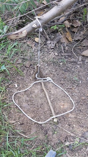 Very effective trapped skills