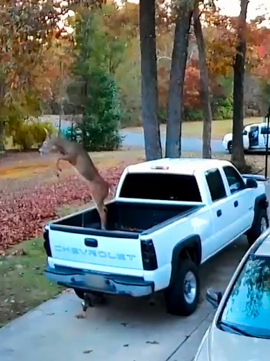 Intense CCTV Camera Fails That Will Make You Laugh