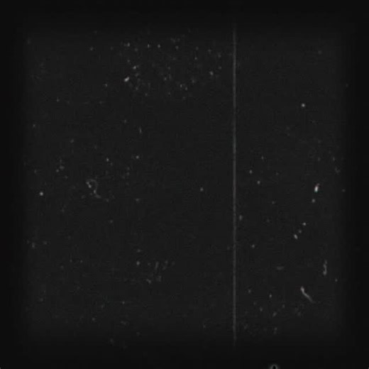 Expadiology | Upgrade your life on Instagram: "The Visionary Behind Amazon’s Empire Jeffrey Preston Bezos, born on January 12, 1964, in Albuquerque, New Mexico, is an American entrepreneur, investor, and space enthusiast best known as the founder of Amazon.com. Starting his career in finance on Wall Street, Bezos left a high-paying job in 1994 to launch an online bookstore from his garage—a risky move that would change the world of commerce forever. Under his leadership, Amazon evolved from a sm