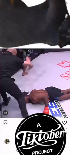 Ultimate Mixed Martial Arts Fight Highlights