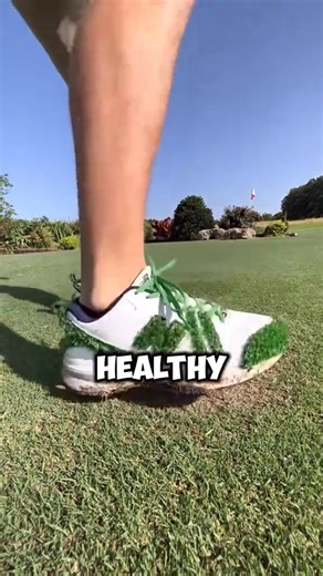 The secret to perfect golf course grass #funny #foryou #fyp #Science | carlajackson5