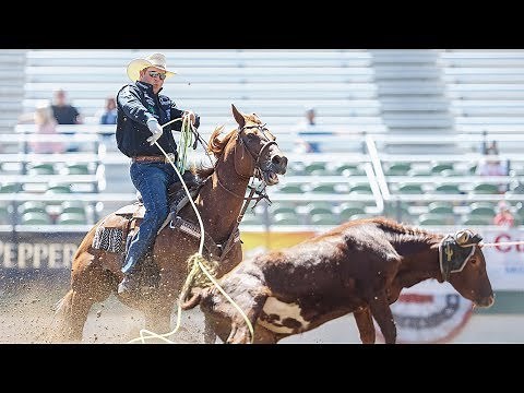 2019 Team of Champions
