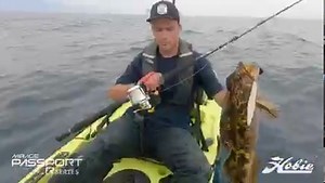 866 reactions · 142 shares | Announcing the 2022 Mirage® Passport® R...