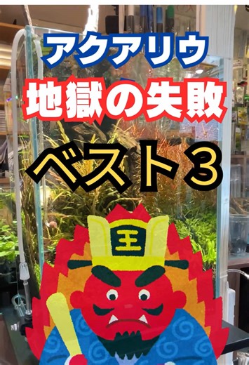 アクアリウムでの失敗あるある3選