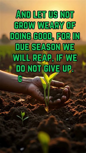 Day 21 Perseverance Brings Rewards