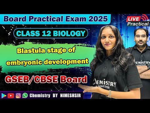 Blastula stage of embryonic development Practical | BIOLOGY Spotting Practical | Practical Exam 2025