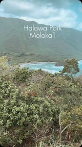A challenging hike, but every step was worth it. 🌿🚶‍♂️ Exploring Halawa Valley in Molokai was an incredible experience, and the final reward… absolutely breathtaking. 💦✨ After a long trek through lush landscapes and ancient trails, the majestic waterfall welcomed us with its pure energy. Nature at its finest! 🌿🌊 #ᴍᴏʟᴏᴋᴀɪ #halawavalley #hikingadventures #uncruiseadventures | Porthole Cruise and Travel