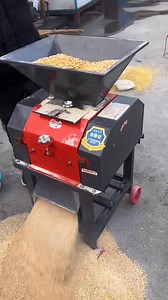 Corn chopper for sheep farming #corncrushing #feedprocessing #sheepfarming #nature #travel #gardening | New Tecnology