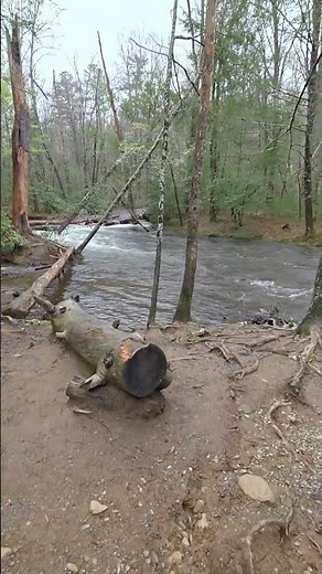 Water really flowing on the river in Cades Cove behind the barn at the Cable Mill Visitor Center.