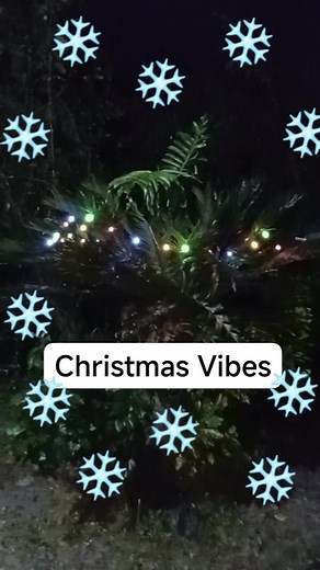 "Believe in the magic of Christmas." — one author | Che Chey