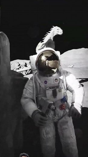 #shorts #short #shortvideo