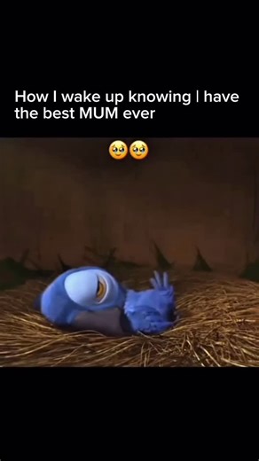 Newday Clip | Interesting Fact: Rio (2011) — The film communicates personality, emotion, and humor largely through physical movement and posture. Blu’s... | Instagram