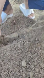 159K views · 2.6K reactions | How To Grow Lauki From Seeds To Harvest Ghar mai beej se lauki kasy uagi jati hai Complete Growing Guide #shorts #reels #lauki #fbreels #fbreelsfypシ゚viral #virals #tmbaagh #growing | TM Baagh | Facebook