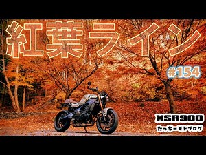 [Motovlog] #154 Yamaha XSR900 Break-in Touring Autumn Leaves Line Ramen Negikko