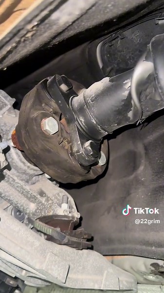 BMW Motorsport: Torque and Engineering Explained