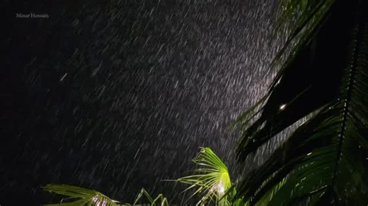 Minar | November starts with November Rain. #video #nature #instagram #photography #like #instalike #instalike #naturephotography #flowers #sky #love | Instagram