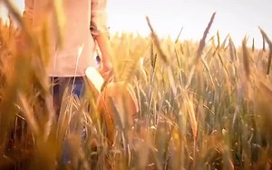 好机友摄影-尼康D3500相机操作指南